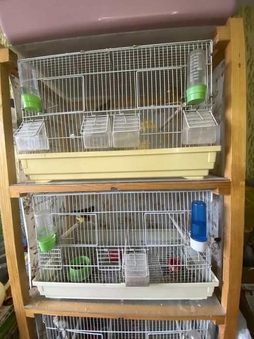 Клетки для птиц и животных