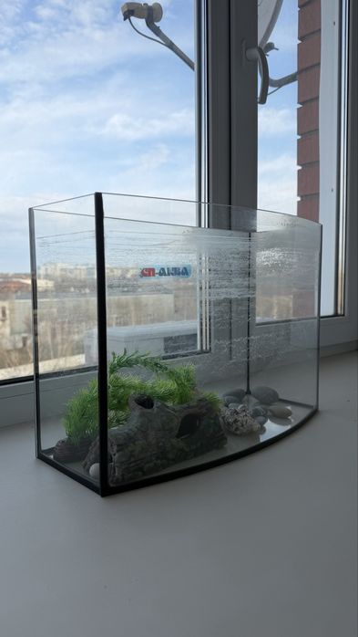 Панарамный аквариум