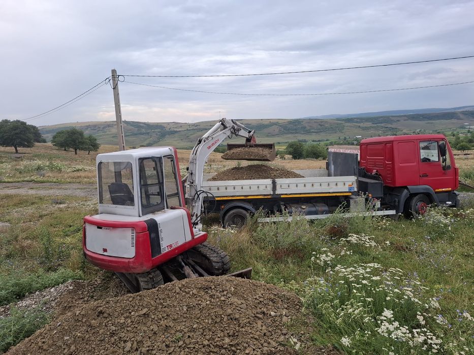 Miniexcavator 3 tone și basculanta7,5 Man