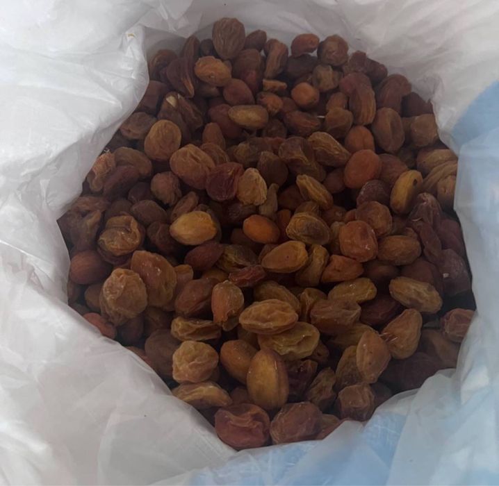 Bizda arzonroq insof sari Tayor qurtilgan turshakla sotladi shirin !!!