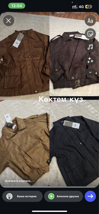 Курки осень-весна