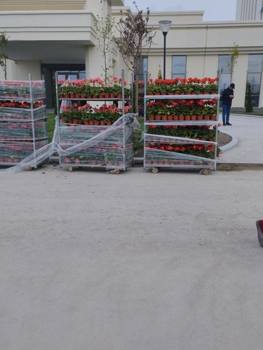 Uy tozalash kvartira ofis

*