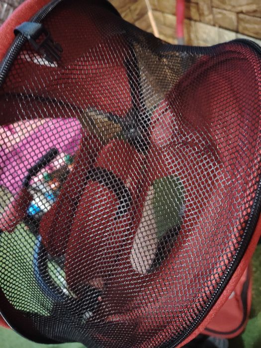 Детска триколка 4 в 1 QPlay Prime, червен цвят