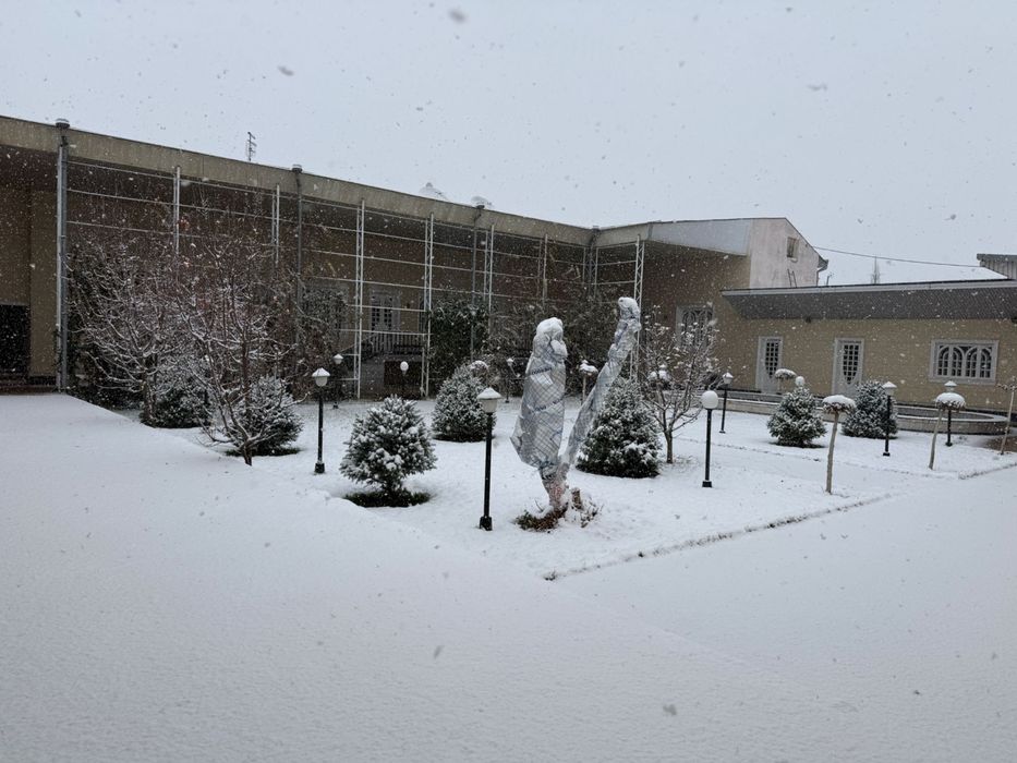 Продается дом 23 сотки