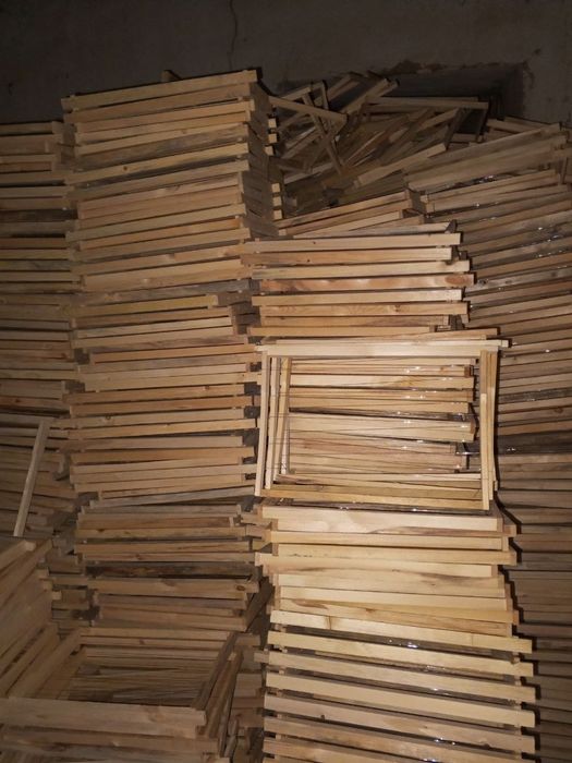 Asalari romlari sotiladi