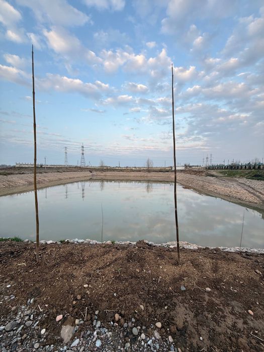 Сдается в аренду рыбхоз