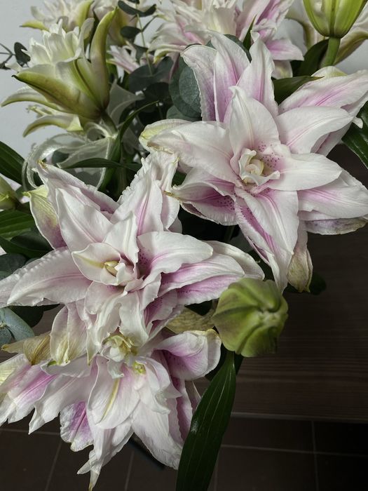 Продам цветы лилии в корзине