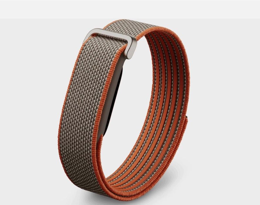 Google Fitbit Air Special Edition