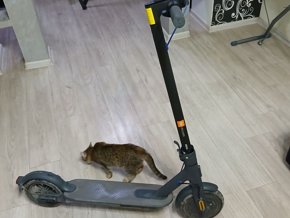 Электросамокат XIAOMI MI3