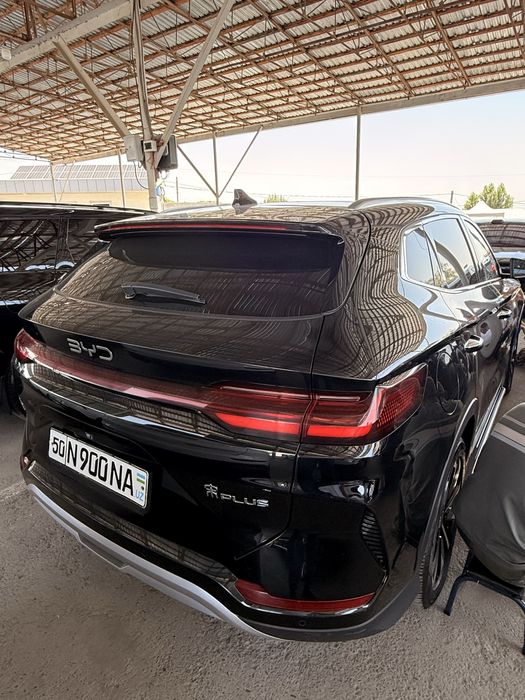 Byd  chempion 605 tali 2024 yil 33 ming yurgan tozza
