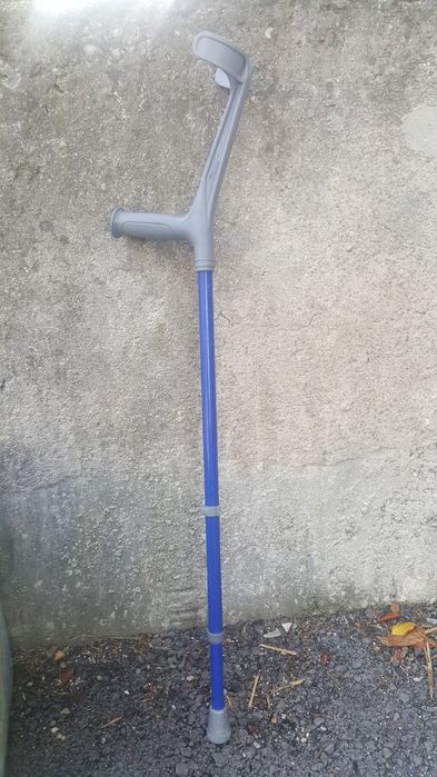 Baston, carje, carji lemn sau telescopice, bete treeking drumetie