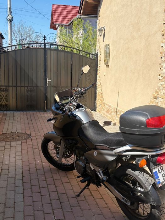 Suzuki XF 650 freewind