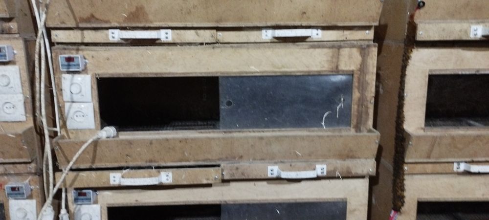 Продам б/у оборудование для птицеферы