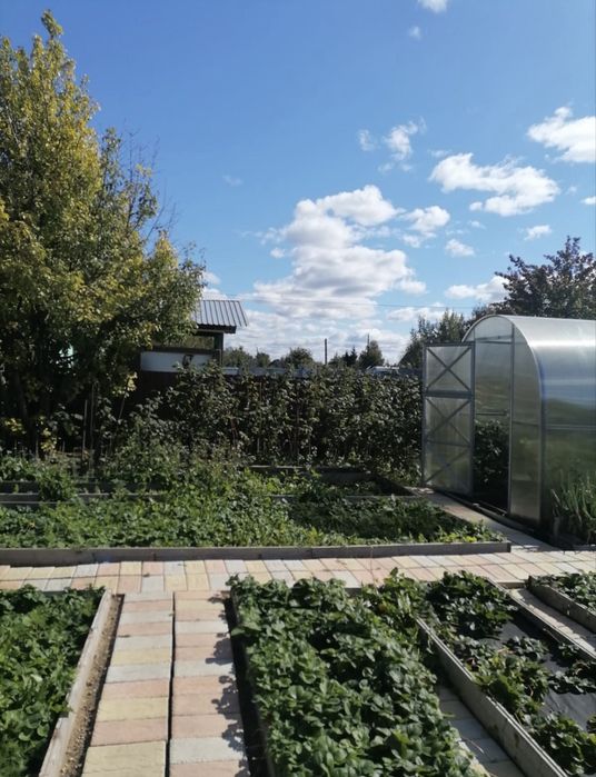 Продам дачу СТ Ромашка 40 линия