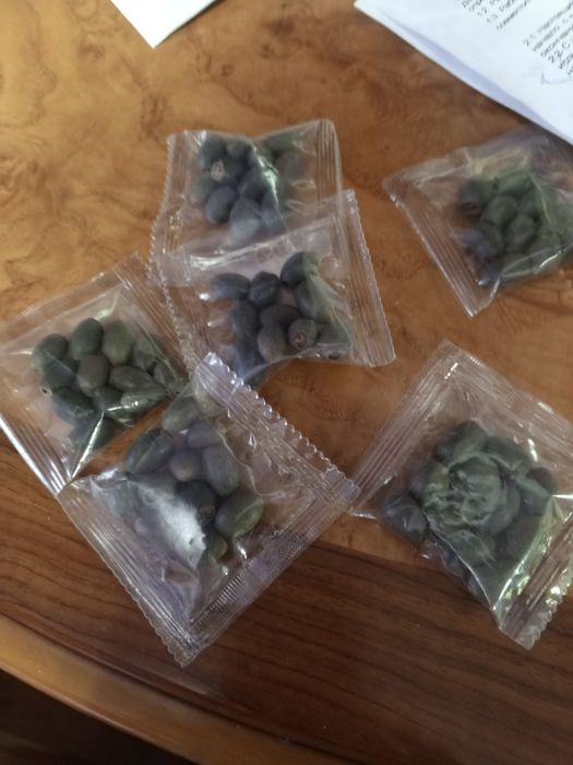 Продам цветы лотоса