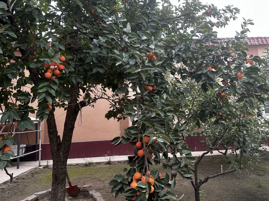 продается дом срочно