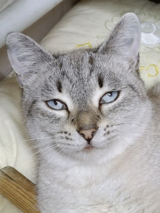 Слава ждёт своего человека.