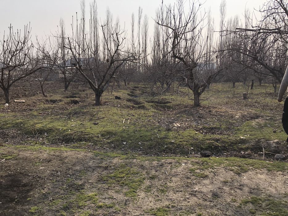 Земельный участок