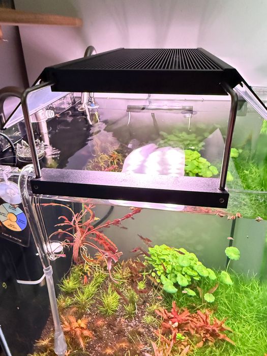 Chihiros WRGB ll Pro 30 cm