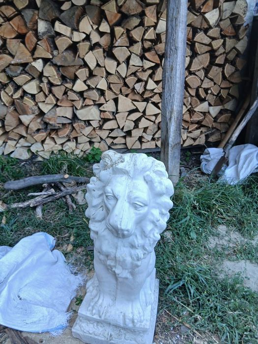 Ornamente de casă