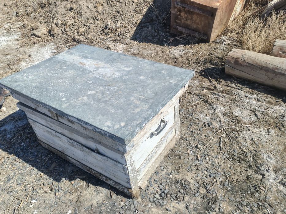 Пал ара уясы сатамын.