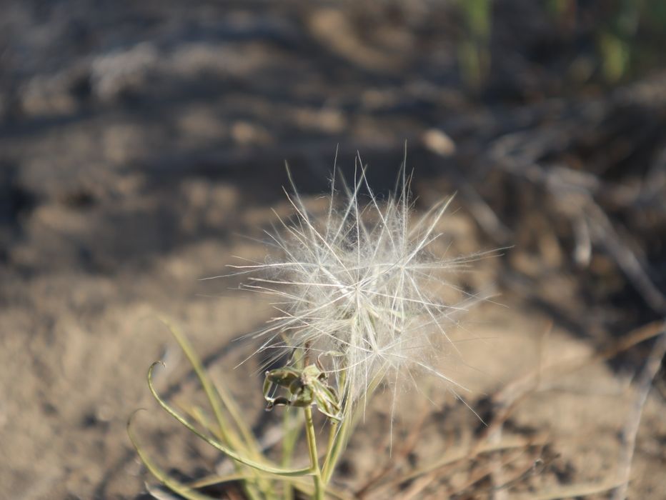 Фотоаппарат Canon 250 D
