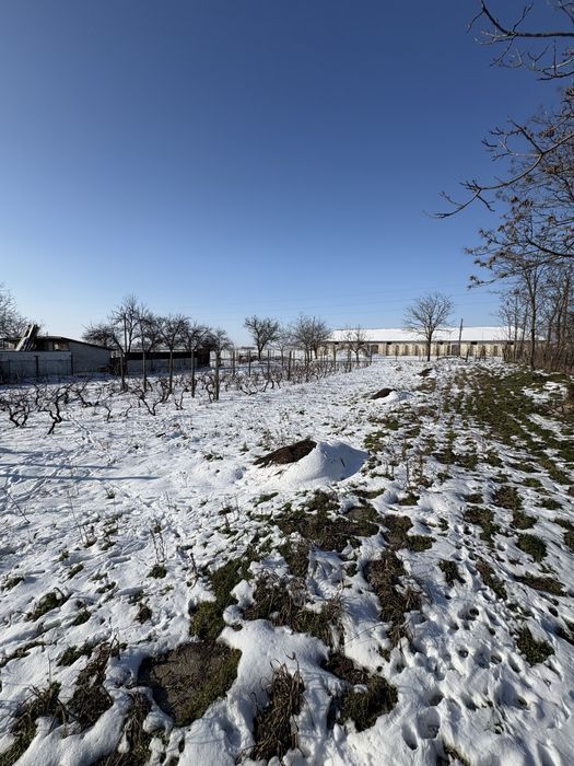 Vand Casa cu teren 1900mp com Nicolae Balcescu