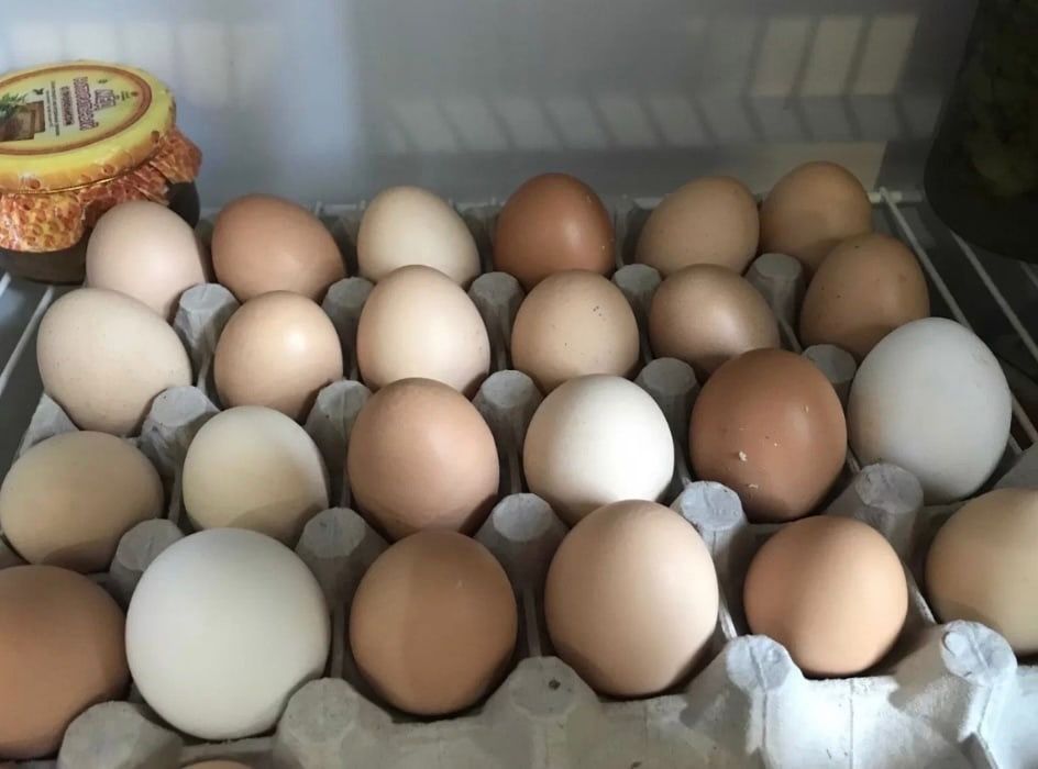 Продается инкубационные куринные яйца