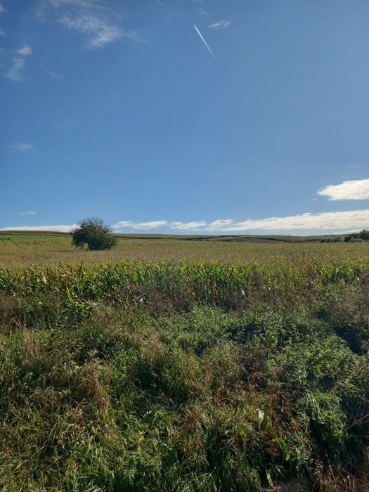 Teren Cehu Silvaniei în suprafață 12.300