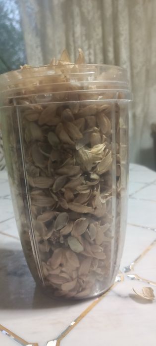 Сухой хмель собранный осенью