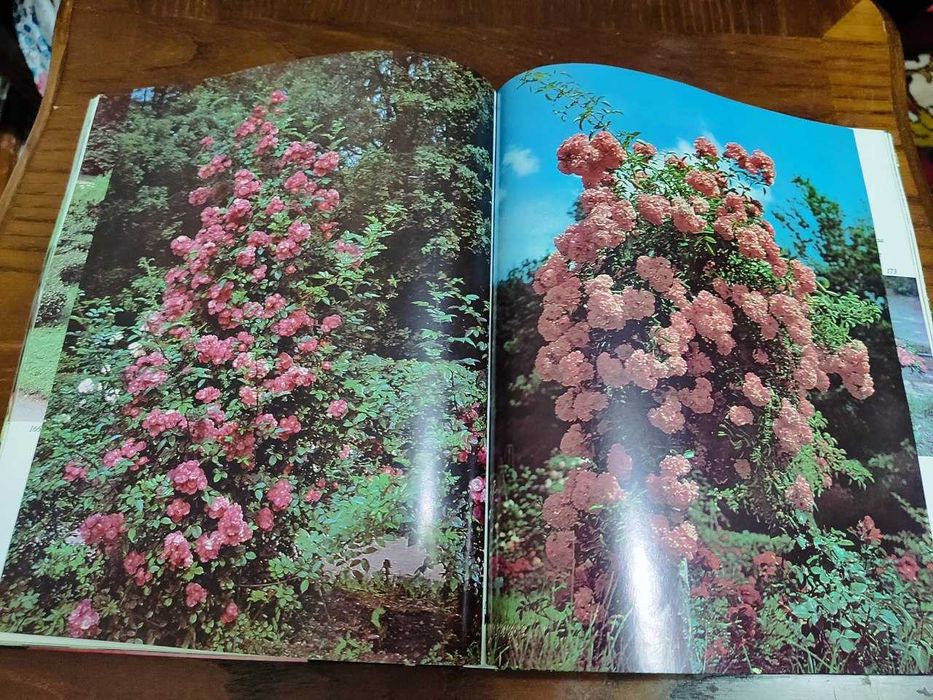 Букинистическая книга Розарий главного Ботан.сада Академии наук СССР.