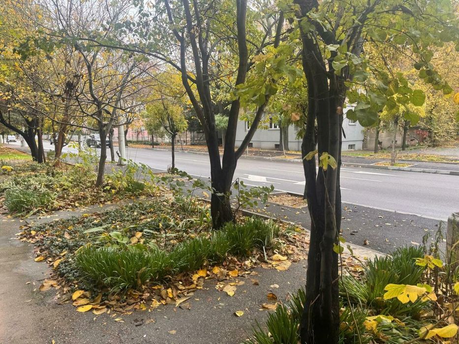 Търговско помещение, 35  кв.м., кв.Възраждане