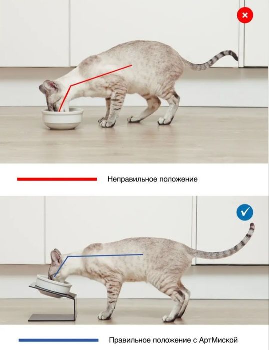 Art miska - миска для кошек/собак