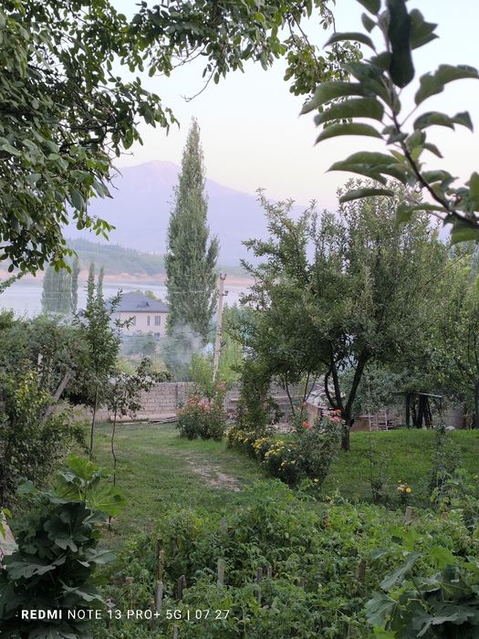 Sijjakda yer sotiladi 6 soʻtix