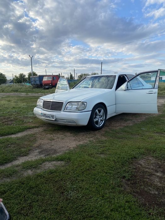 Продам кабана w140
