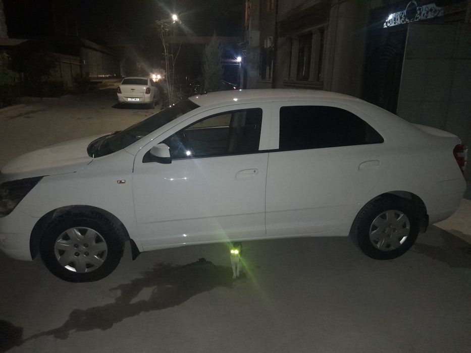 Cobalt 2022 metan
