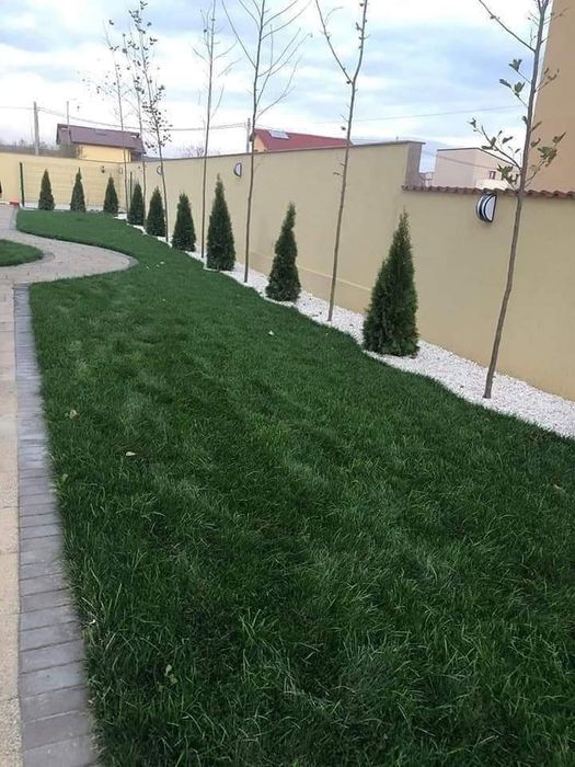 Gazon și plante ornamentale