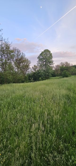 Vând urgent 1500mp INTRAVILAN cu utilități la drum  Ariceștii Zeletin cu vedere panoramică și parcelabil