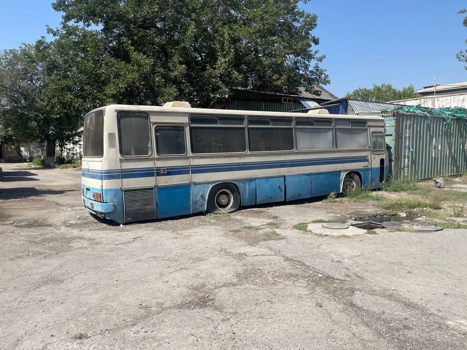 Экарус 256 сотилади