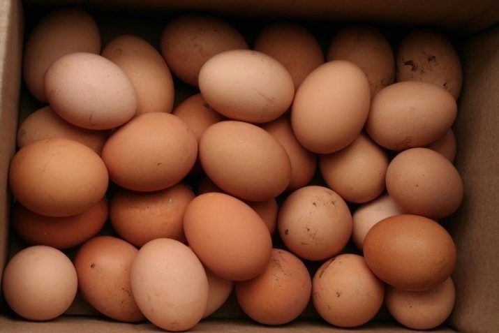 Uy Tuhumlarini  yetkaziberamiz bostirish uchin parandalar tuhumlarini