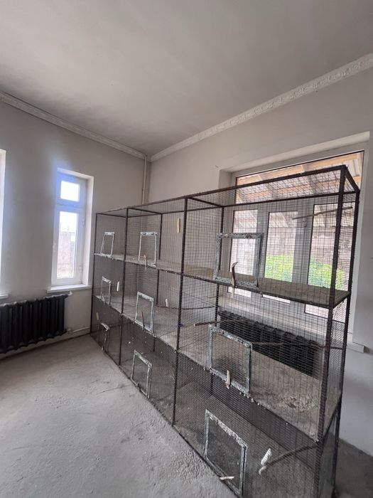 Papugay lar uchun qafas