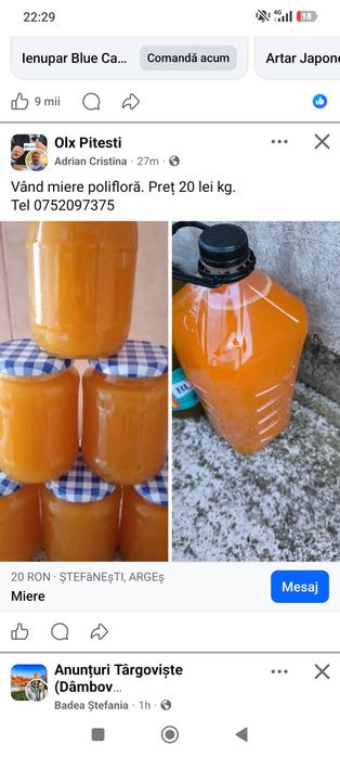 Miere Floarea Soarelui / poliflora