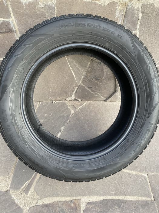 Шины зимние 245.55.R19