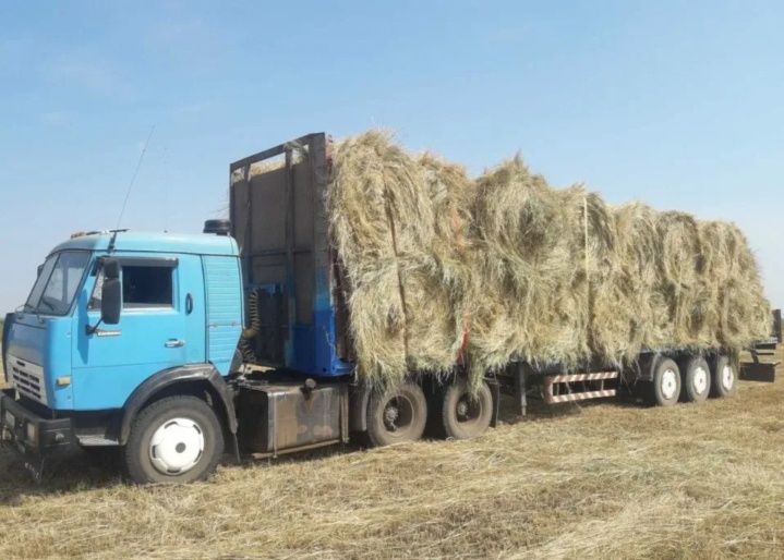 Продам сено с доставкой