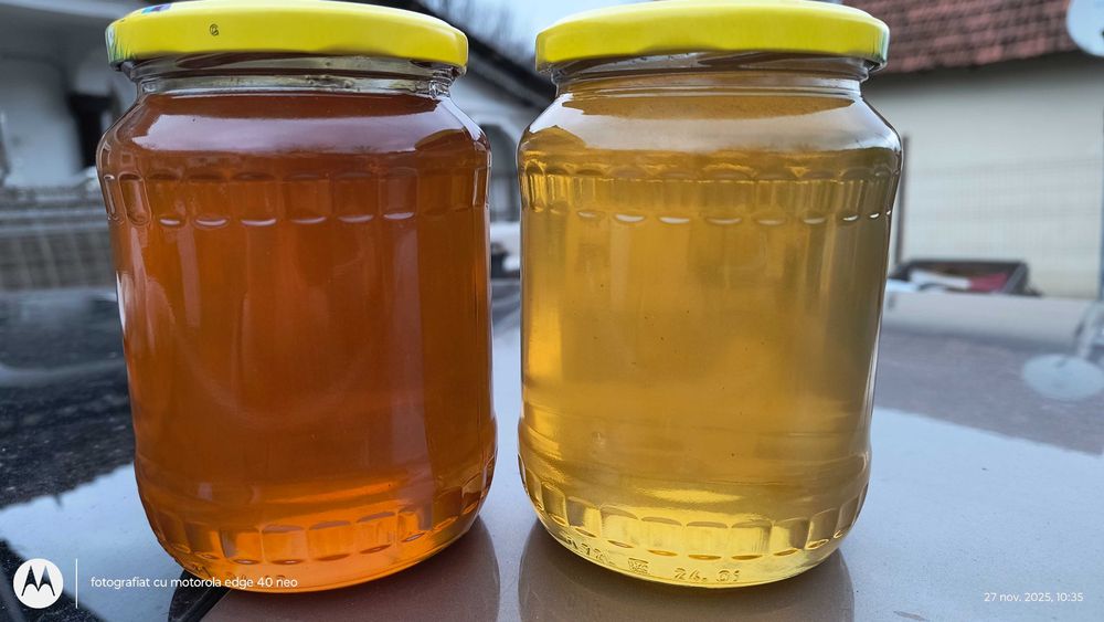 Miere de salcâm și polifloră!