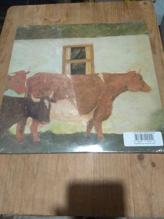 Грамофонна плоча Vashti Bunyan – Just Another Diamond Day