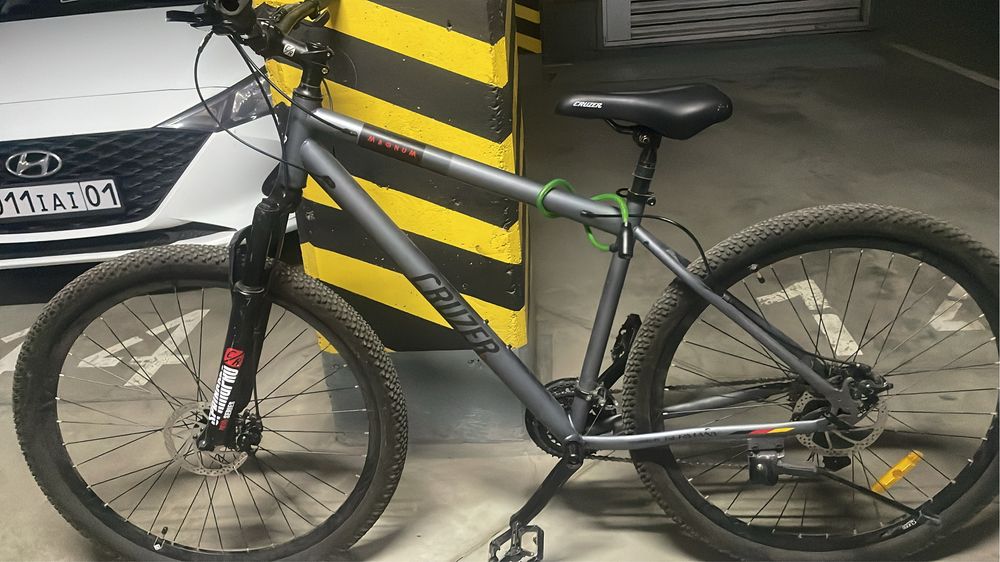 Cruzer magnum 29