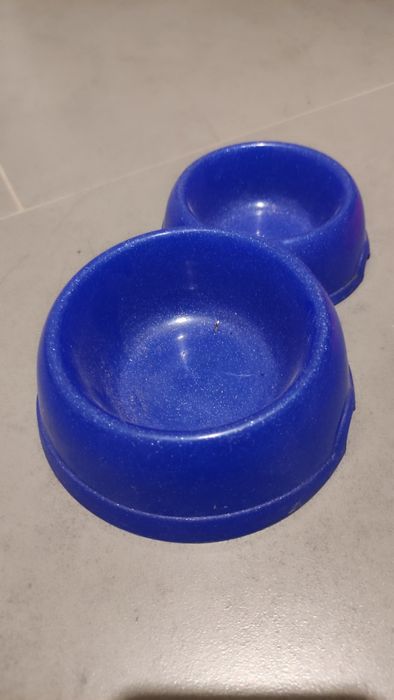 Лоток для кота и миски