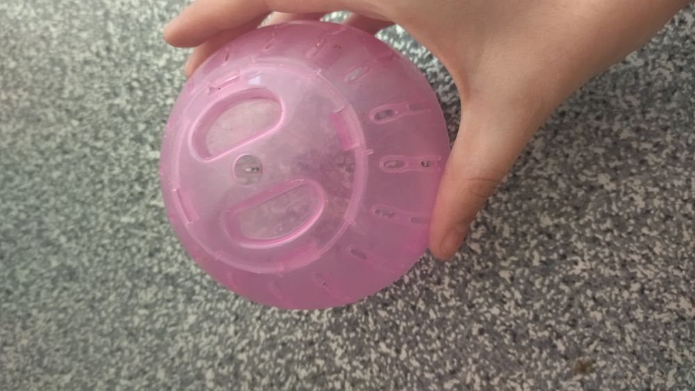 Клетки для животных