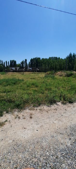 Uchastka sotiladi 20 sotix